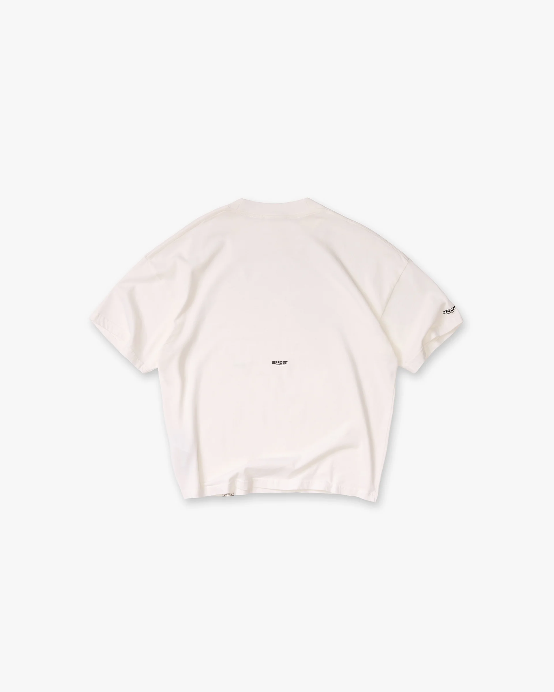 Micro Owners Club T-Shirt - Flat White - Image 2