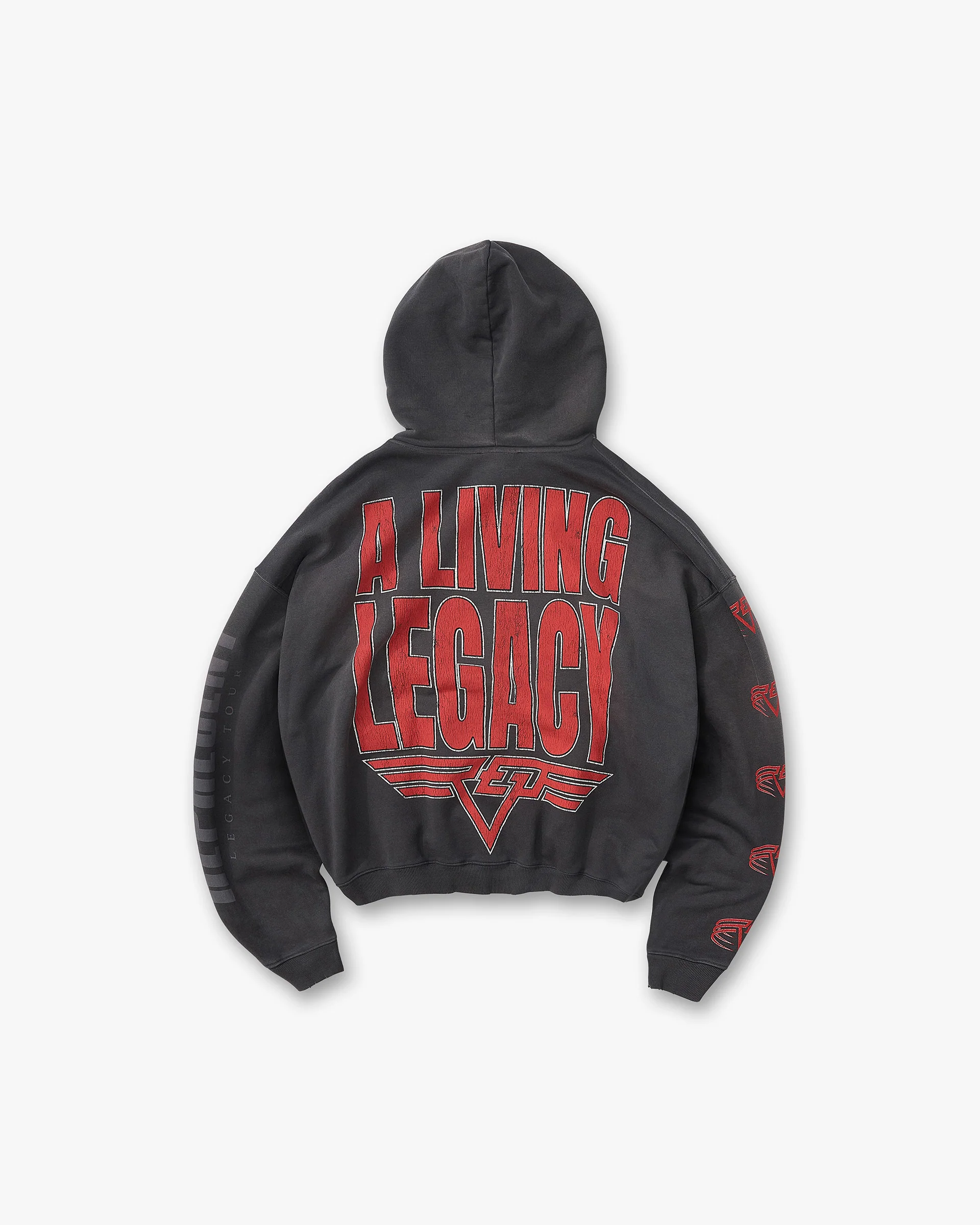 Reversible Living Legacy Tour Hoodie - Sun Fade Grey - Image 6