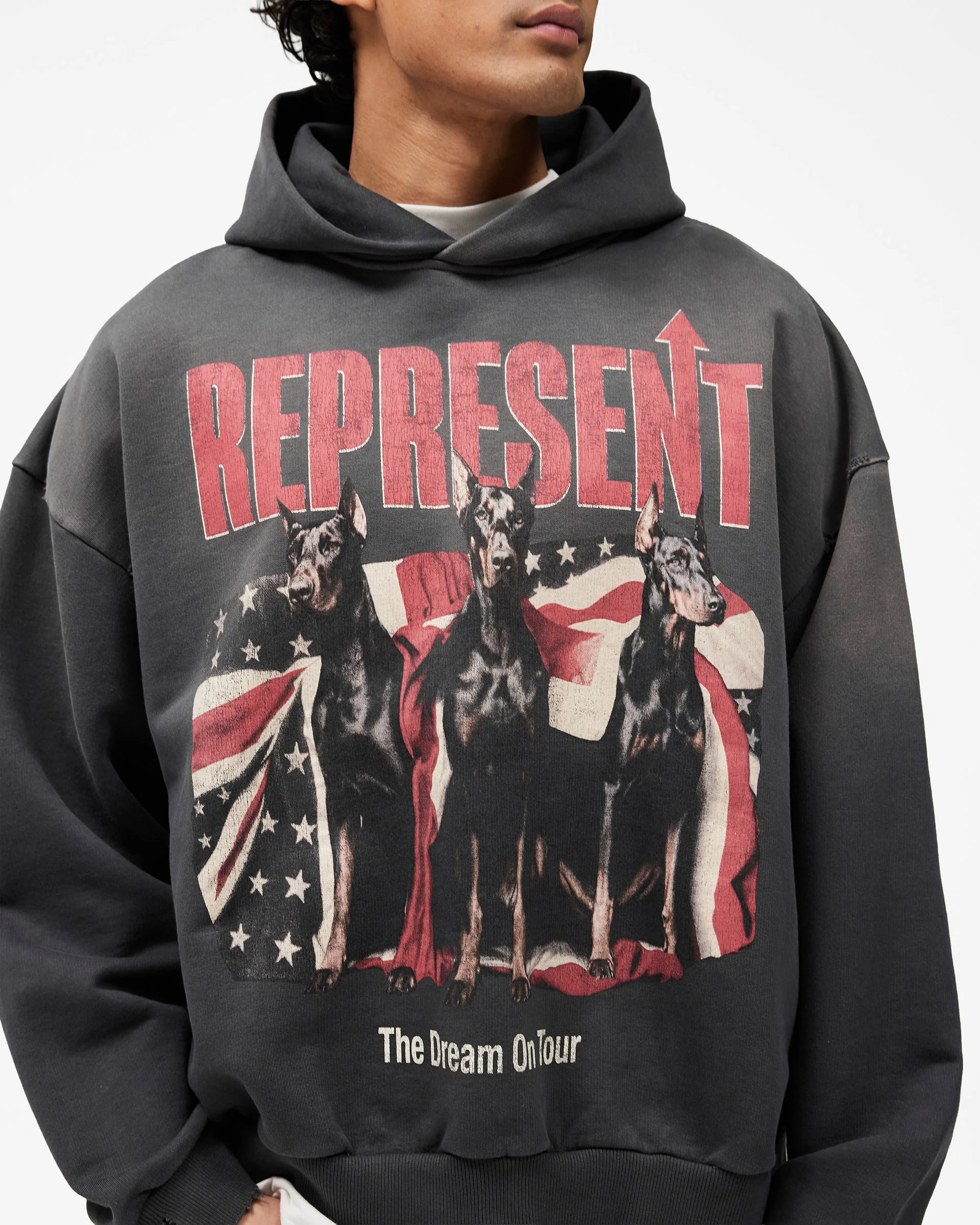 Dream On Tour Hoodie - Sun Fade Grey - Image 6